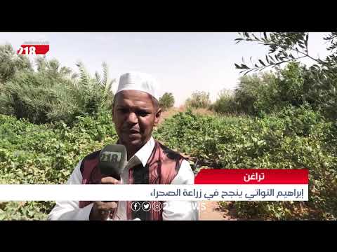 , title : 'ليبيا اليوم | إبراهيم التواتي ينجح في زراعة الصحراء بتراغن'