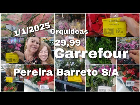 PLANTAS🪴 CARREFOUR PEREIRA BARRETO S/ANDRÉ ORQUÍDEAS 29-99 grande Festival de plantas