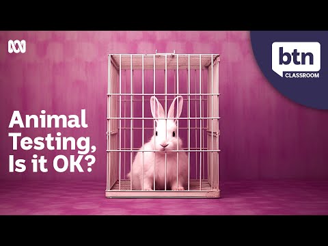 Animal Testing - Behind the News