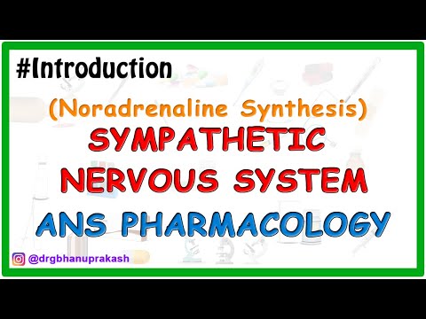 0.Sympatethic Nervous System (Pharmacology) -  Noradrenaline synthesis