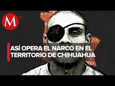 , title : 'En Chihuahua, 15 grupos criminales al servicio de los cárteles de Juárez y de Sinaloa'