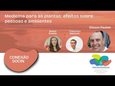 Conexão Socin: Medicina para as plantas: efeitos sobre pessoas e ambientes