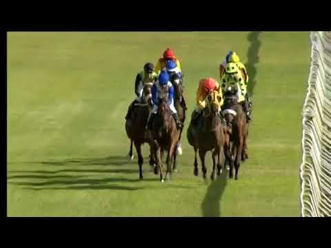 2017.12.16  Cape Summer Stayers Handicap (RSA) - Strathdon