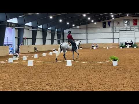 Working Equitation Intro (L1) dressage test