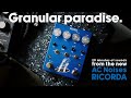 AC Noises RICORDA Stereo Granular Reverb With Looper Freeze No Talking