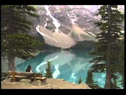 DE-ABIA PLECASEŞI - Tudor Arghezi