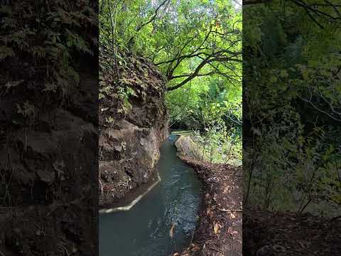 nadando con la corriente en la acequia de Santo Domingo de Guzmán Sonsonate 🇸🇻