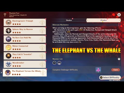 The Elephant VS The Whale on Okuden Difficulty - Phantom Flow last day