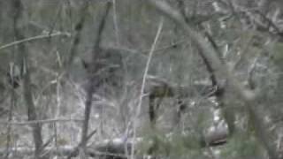 MOV03b_Combine