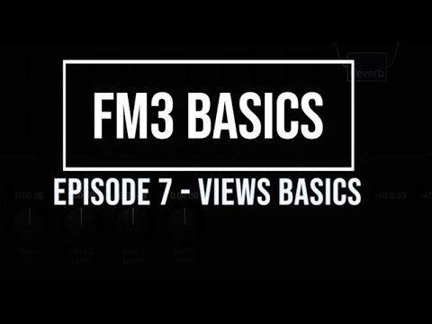 FM3 Basics Episode 7 Views Basics