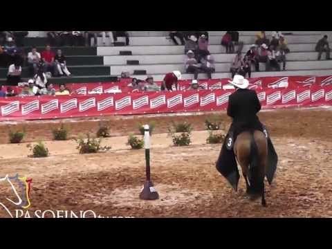 I Copa Suoeste, Eloisa de la virginia 1er puesto yeguas 42 48 pasofino