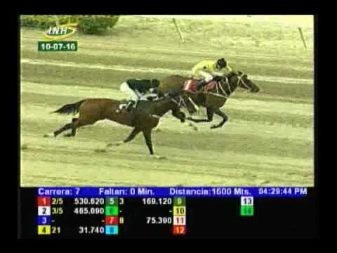 Resumen Domingo, 10 de Julio de 2016 - La Rinconada