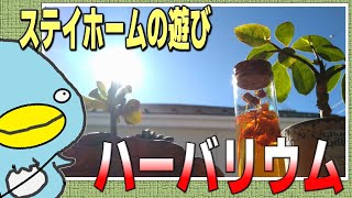 【コロナを吹っ飛ばせ】自宅でハーバリウムを楽しもう！！