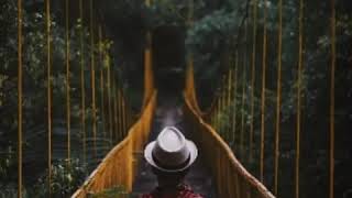 Download lagu Story Wa galau Keren •Cinta Gila• mp3 Download lagu Story Wa galau Keren •Cinta Gila• mp3