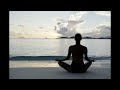 39 Silva Method Fantastic Journey COMPLETE COURSE