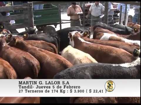 Martín G. Lalor - Tandil - Venta Invernada - 05/02/2015
