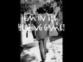 John Lee Hooker and Van Morrison ~ The Healing Game