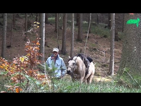 Wanderreiten im Herbst 2018