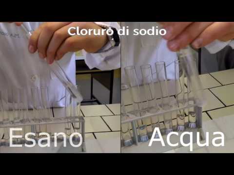 Esercizi di bassa mal di schiena per le spalle Mal di schiena e le costole che tale