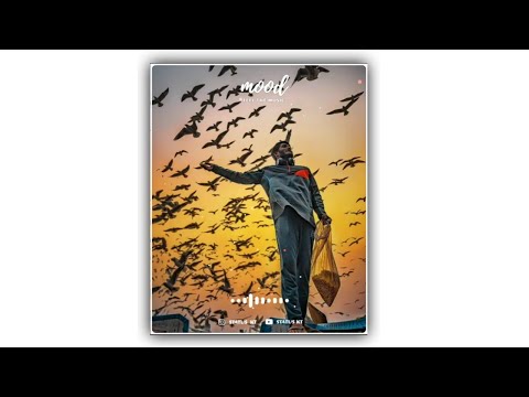 Happy, love whatsapp video status download 2021