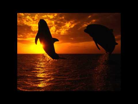 Marc Korn vs DJ Squared - Summer Of Love /Remix\