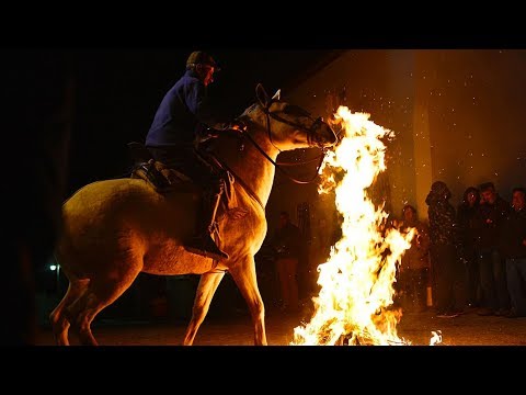 Arab Today- Horses gallop through bonfires