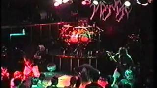 Disgorge (USA) - False Conception