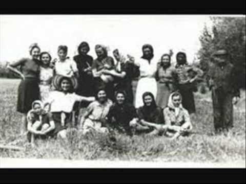 AFA & Coro Mondine di Correggio "Mondariso"