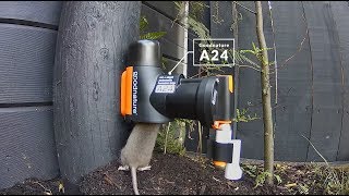 Pasca na myši, potkany, A24, automatická, PROFI