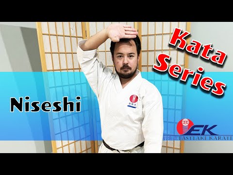 Niseshi - Kata Series (1st Ryuei Ryu Kata)