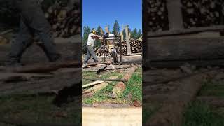 Full cut TK1300 - In Epuyen - Sent by Shanti