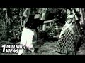 Tamil Classic Romantic Song Maalaiyum Iravum Paasam
