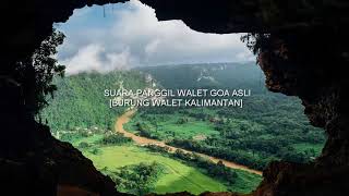 Download lagu SUARA PANGGIL WALET GOA ASLI mp3 Download lagu SUARA PANGGIL WALET GOA ASLI mp3