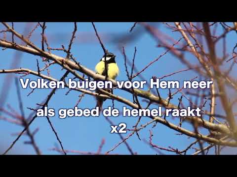 OPwekking 610 Als gebed de hemel raakt