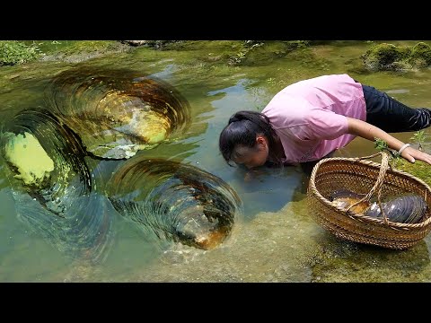 Harvest clams and oysters; The gift of nature. Open it, the pearls inside are dazzling and dazzling