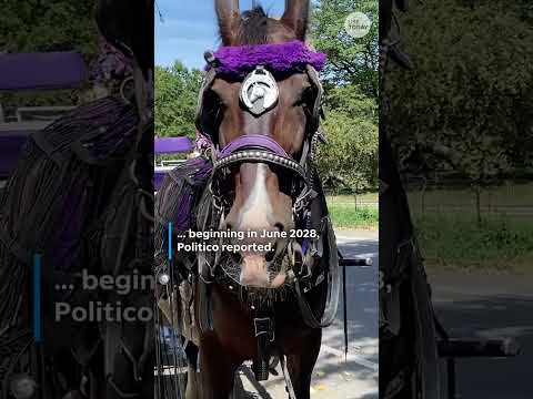New York to ban Central Park’s horse-drawn carriages after teenager’s death