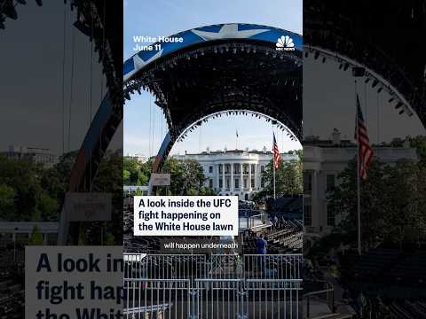A look inside the UFC fight happening on the White House lawn