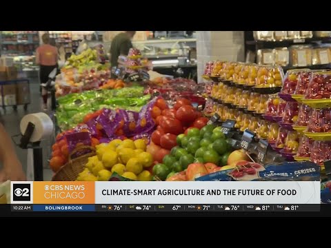 Climate change: the future of food and climate-smart agriculture