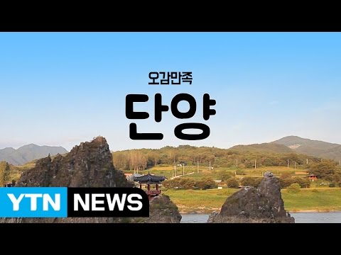 단양편