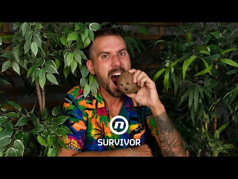 ''Ne znam zašto se bježalo od istine!'' – Filip odgovara na pitanja koja su obilježila Survivor