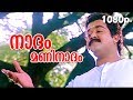 Mohanlal Birthday Special Song Naadam Maninaadam HD 1080p Nadodi S P Venkitesh Hits