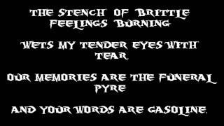 The Black Dahlia Murder - The hive (lyrics).wmv