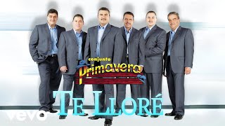 Conjunto Primavera - Te Lloré (Visualizer)
