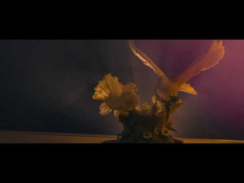 FTFcity - What is it