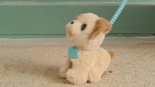 Hasbro FRF Весёлый щенок Пакс (C2178) - відео 3