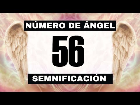 Why do you keep seeing the angel number 56? 🌌 The deeper meaning behind seeing 56 😬