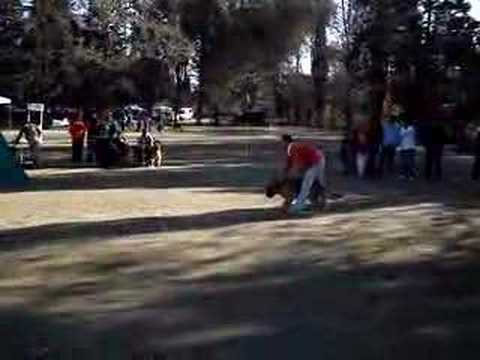 Reseleccion de " Albita"