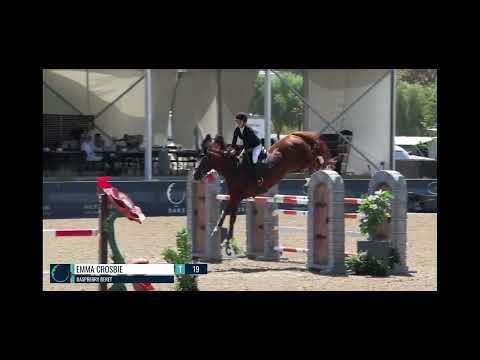 Raspberry Beret video 3