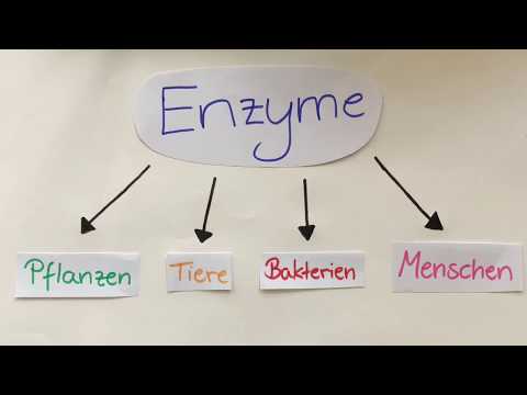 Enzymhemmung- einfach erklärt
