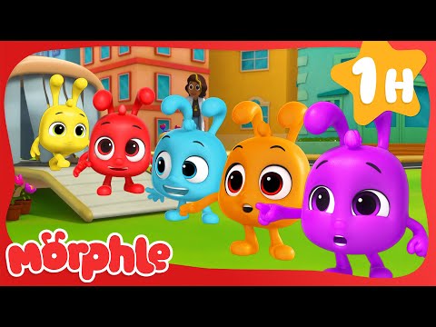 Morphle's Best Multi Color Clones🌈| Cartoons & Videos for Kids | Mila and Morphle